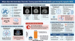 Nhận diện mô hình não thai nhi: mối tương quan giữa kiểu hình siêu âm và kiểu gen trong kỷ nguyên NGS. Tổng hợp Tubulinopathies, Somatic Mosaicism và chiến lược chẩn đoán trước sinh hiện đại.