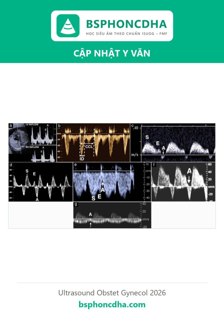 Ảnh bìa: Đánh giá chức năng tâm thất thai nhi bằng siêu âm tim: hướng dẫn chuyên gia Fetal Heart Society (UOG 2026)